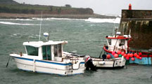 Guided tour in Brittany