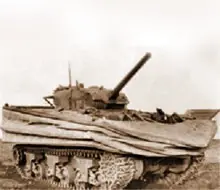 Dog Green / Dog White