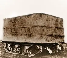 Dog Green / Dog White