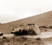 Dog Green / Dog White