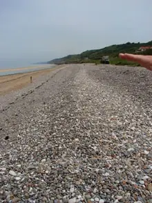 Fox Green and Fox Red